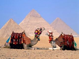 Туры в Египет из Перми